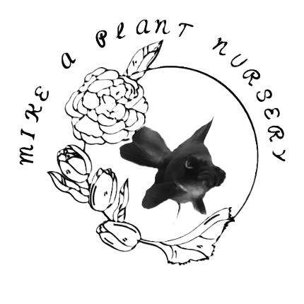 Mike A Plant Nursery