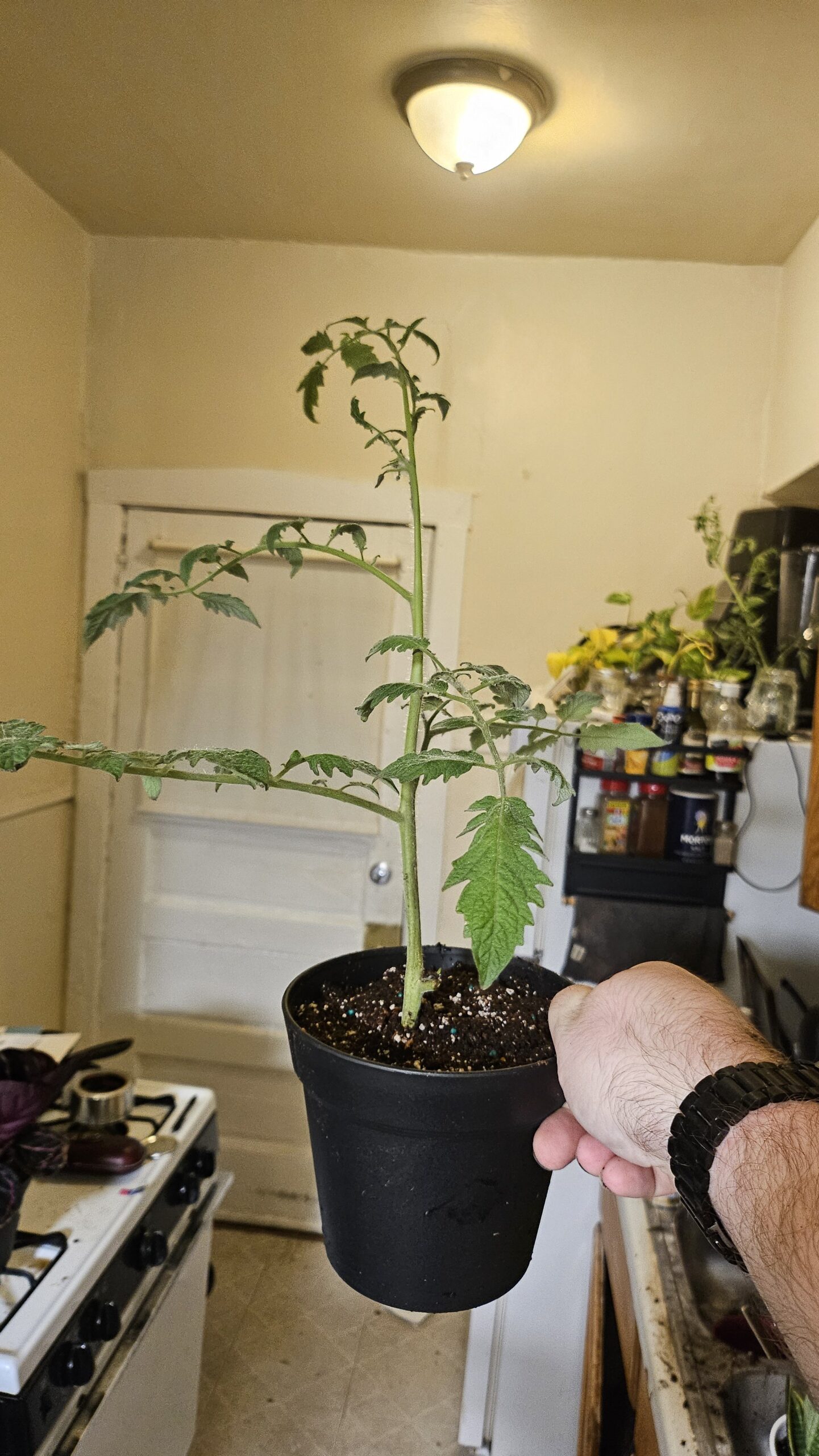 2025/12/1000007255-scaled.jpg 1000007255.jpg